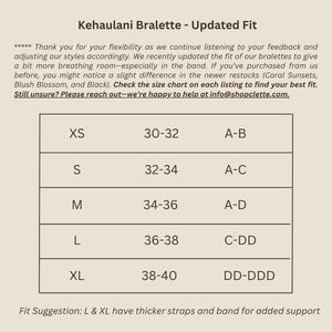 Kehaulani Scoop - Updated Fit (3 Pack)