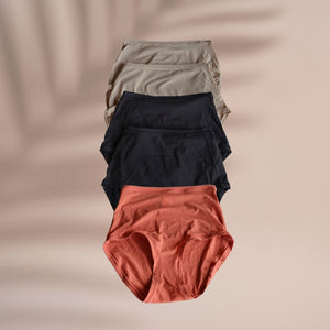 Palma High Waisted Brief (5 Pack)